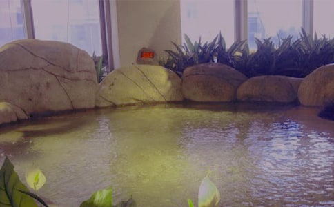 關于溫泉游記作文六篇