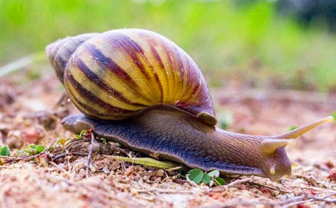 �^����ӛ����С΁ţ