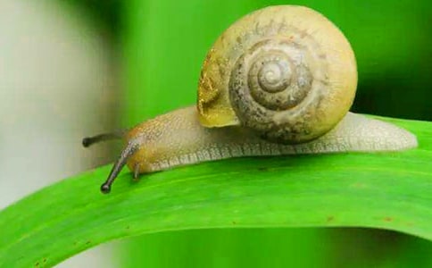 ΁ţ�^����ӛ�R��15ƪ