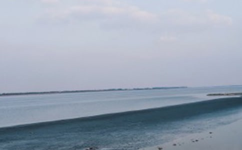 �����҂�����ȥ��������