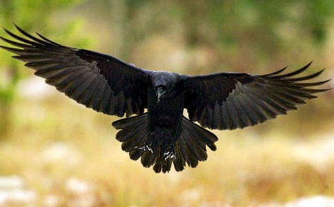 �ۂ����µĞ��f�w�F(xi��n)�ĳ���֮��