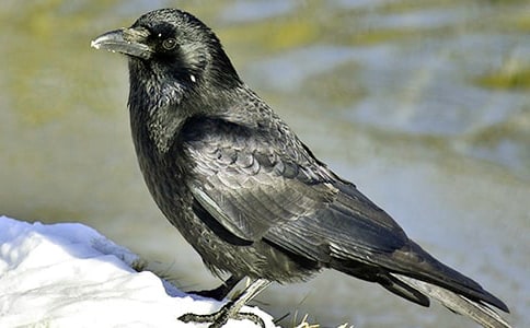 С���f��(f��)��ӛͯԒ����