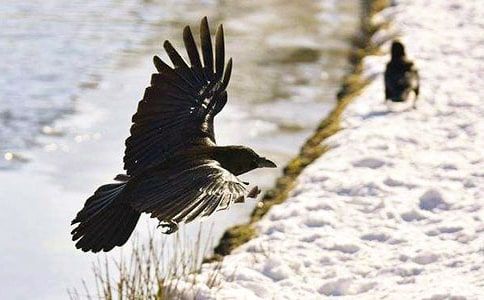 ���f��(f��)��ӛ����550��