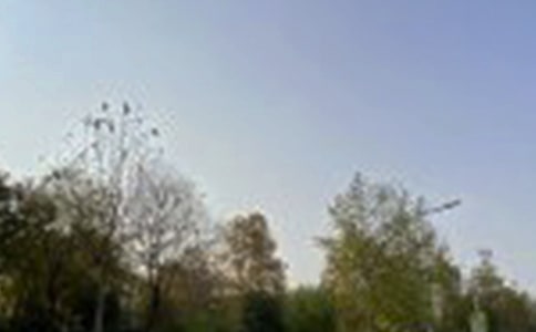 �簲����30��