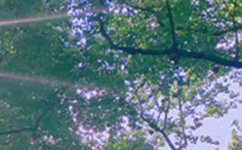 ��(j��ng)�������簲���Z30�侫�x