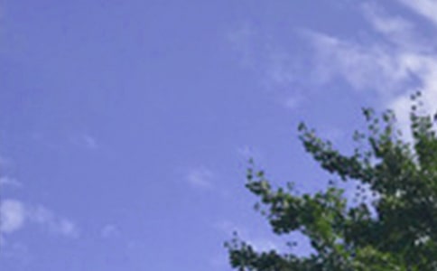 �����簲���Z�����x60�䣩