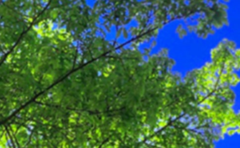 �����簲���Z90�侫�x