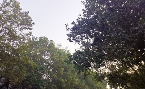 ��ܰ�簲���Z(y��)30�侫�x