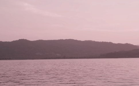 西湖游記作文3篇(熱)