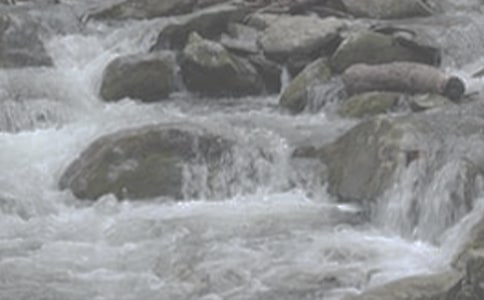 甘露·溪流作文