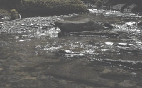 小溪流的清婉美