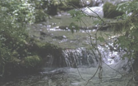 ��СϪ���ĸ衷�̰��OӋ����