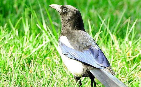 �P(gu��n)��ϲ�o����(ͨ��8ƪ)