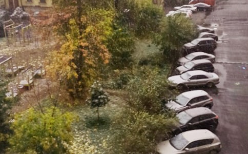 下雪的觀察日記