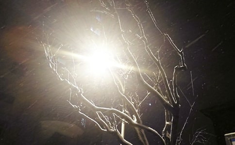 �����ϣ�һ�꼉(j��)��ѩ����ӛ7ƪ