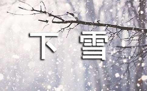有關(guān)下雪日記范文匯總6篇