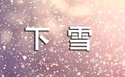 下雪日記(集合8篇)