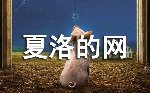 ������ľW(w��ng)���и�600��