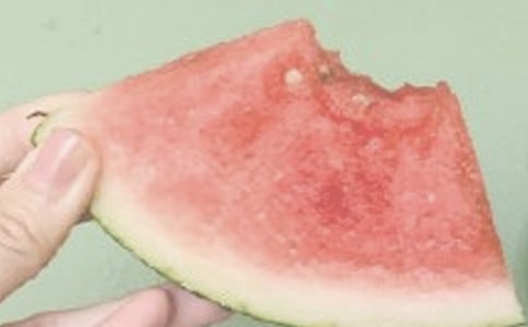 夏日捉魚趣憶的散文