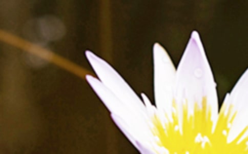 ����δ����(j��ng)���Z�