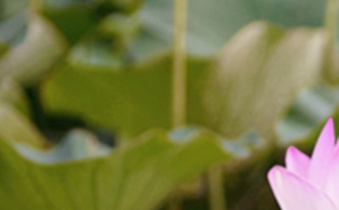 ������(ji��)�⺆��ף�����Z210��