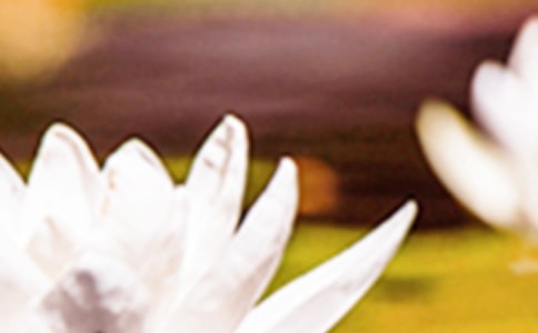 ����δ�����潛(j��ng)���Z�