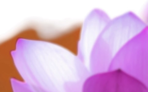 春分夏至秋分冬至時間