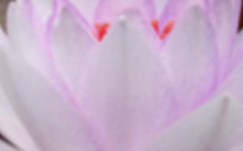 今年夏至是幾月幾日