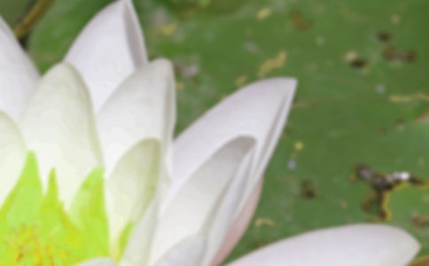 學(xué)校夏至活動(dòng)方案(通用12篇)