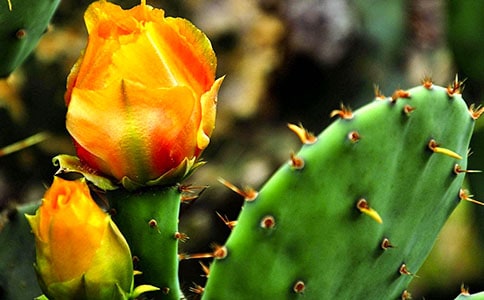 �������^����ӛ���]��