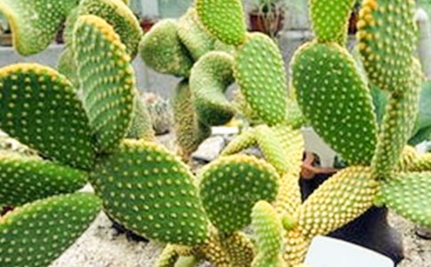 �������^����ӛ�����x30ƪ��