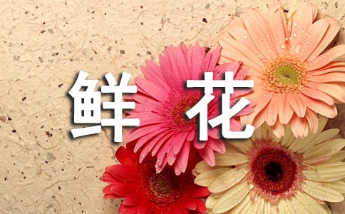 透過(guò)開(kāi)滿鮮花的讀