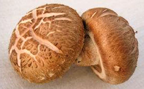 ������㹽���u�� �I(y��ng)�B(y��ng)��ȫ��