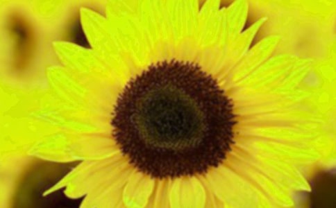 ���P(gu��n)���տ�����ӛ