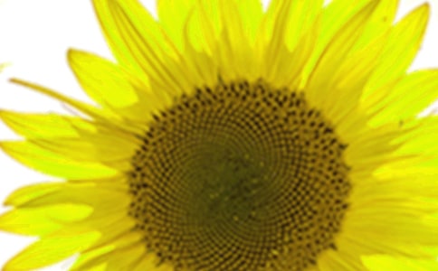 �P(gu��n)���^��С��˺Ͱ����տ�����ӛ