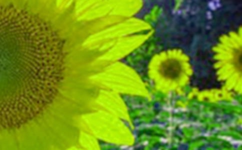 ���տ��^����ӛ�����x25ƪ��