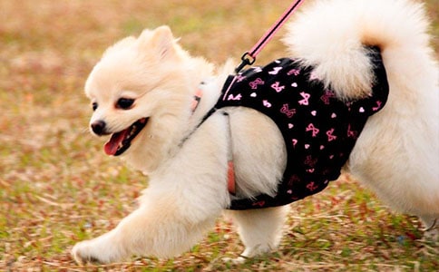 ���xС����(y��u)������400����ƪ