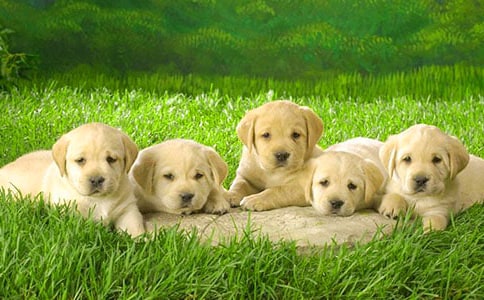 С��ʎ��ǧ200������