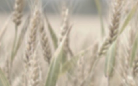 С������