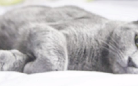 ���᡿С؈�^����ӛ