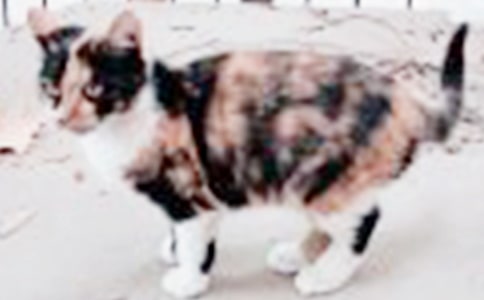 С؈���^����ӛ��ͨ��23ƪ��