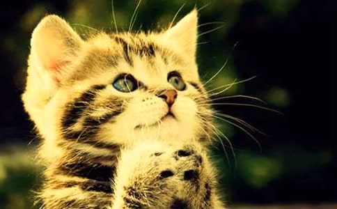 ����(sh��)�á�С؈������300��6ƪ