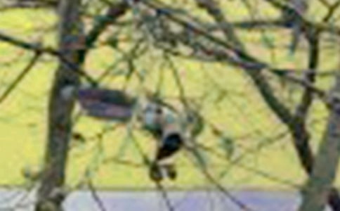 ���xС�B��ͯԒ����300��3ƪ