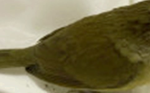 �܂���С�B200������