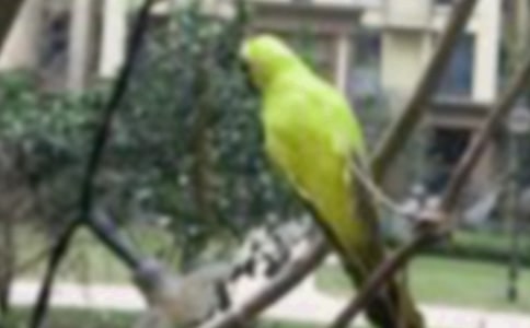 С�B(ni��o)��ͯԒ����300��3ƪ[�؂�]