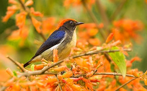 С�B��ͯԒ����300��