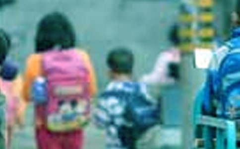 小學(xué)生防震減災(zāi)優(yōu)秀作文(通用10篇)