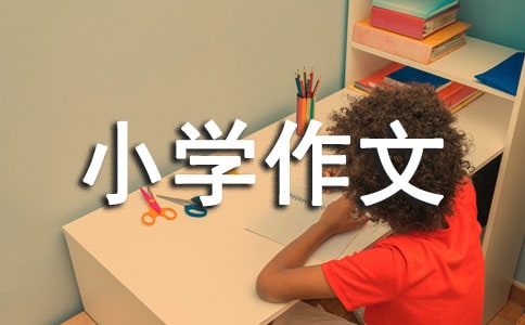(合集)小學(xué)作文300字4篇