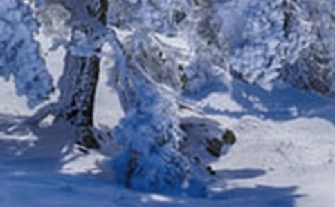 ���������(y��u)�|(zh��)�n�̰����̌W(xu��)��˼��Сѩ����