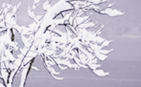 Сѩ��(ji��)�↖�����